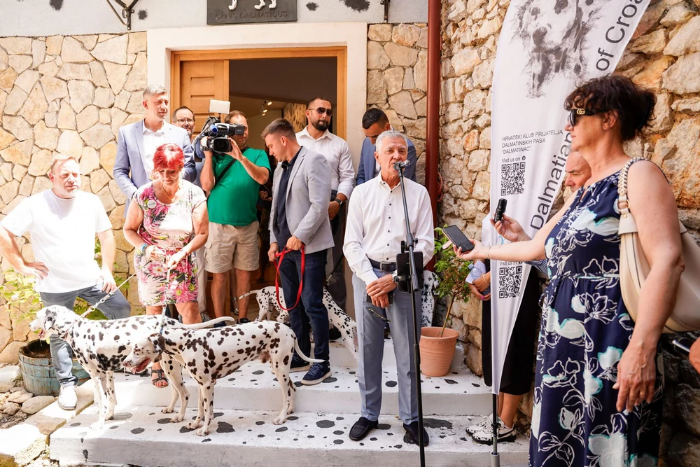 Šibenik dobio prvi muzejsko-galerijski postav posvećen dalmatinskom psu: Otvorena Kuća dalmatinskog psa u centru grada