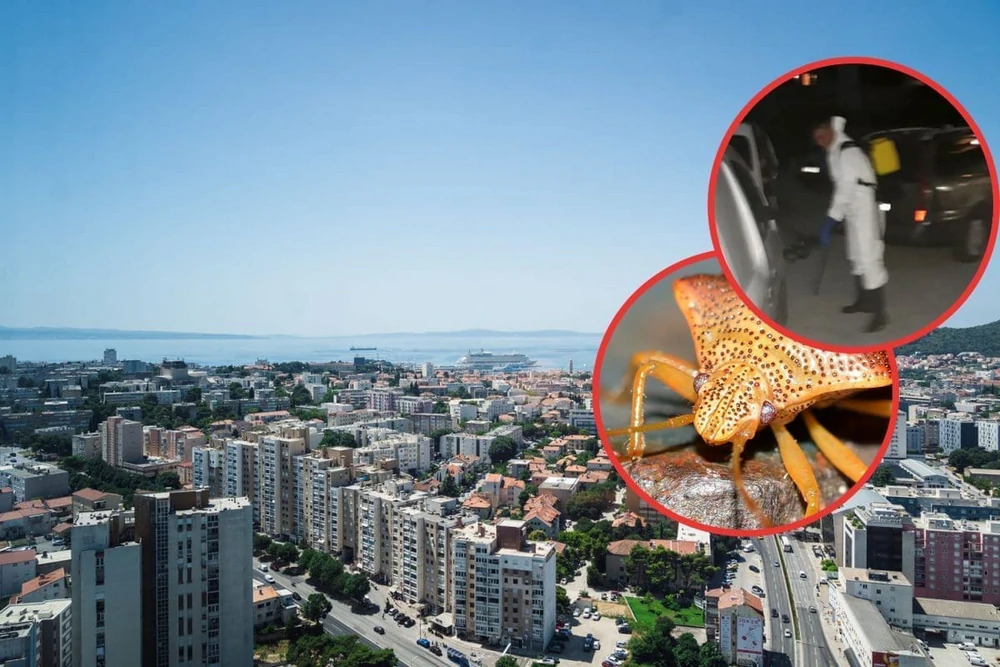 Porast turista, porast stjenica: Split se bori s neugodnim suvenirima iz kofera